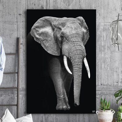HIP ORGNL® Elephant - 100 x 150 cm