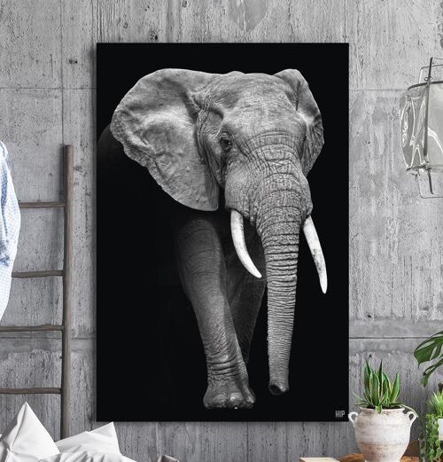 HIP ORGNL® Elephant - 80 x 120 cm