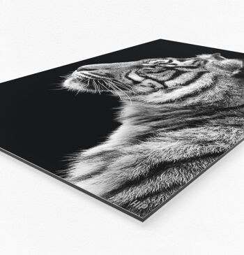 HIP ORGNL® Tigre - 80 x 120 cm 2