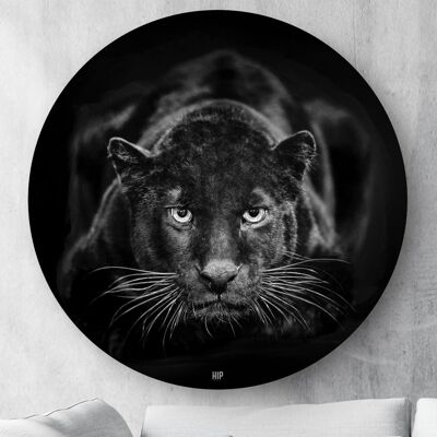 HIP ORGNL® Black Panther Rund - Ø 140 cm