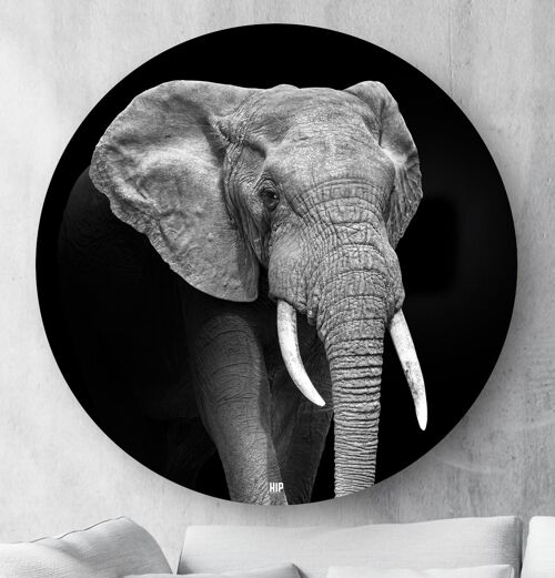 HIP ORGNL® Elephant Round - Ø 140 cm