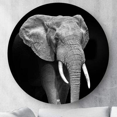 HIP ORGNL® Elefant rund - Ø 140 cm