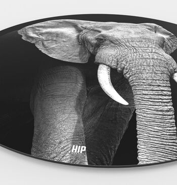 HIP ORGNL® Éléphant Rond - Ø 120 cm 2