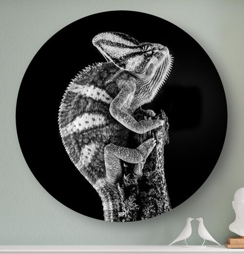 HIP ORGNL® Chameleon Round - Ø 140 cm