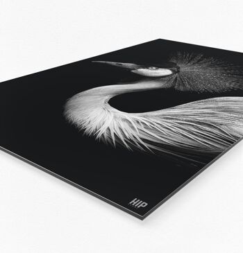 Oiseau couronne HIP ORGNL® - 80 x 120 cm 3