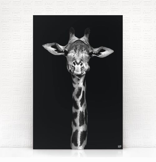 HIP ORGNL® Giraf - 100 x 150 cm