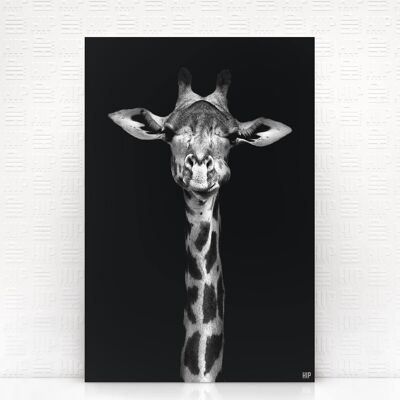 HIP ORGNL® Giraf - 60 x 90 cm