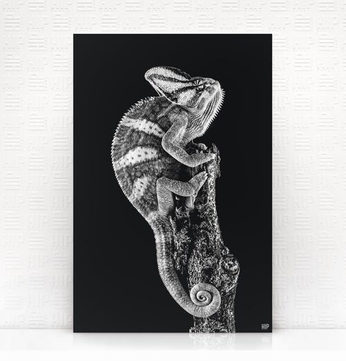 HIP ORGNL® Chameleon - 100 x 150 cm