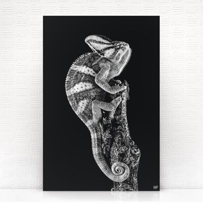HIP ORGNL® Chameleon - 100 x 150 cm
