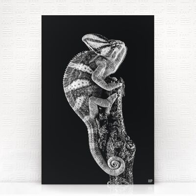 HIP ORGNL® Caméléon - 60 x 90 cm