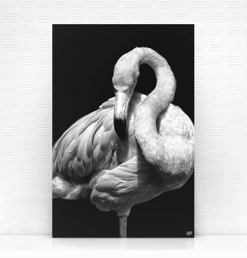 HIP ORGNL® Flamingo - 60 x 90 cm