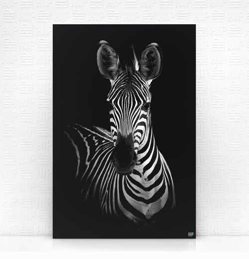 HIP ORGNL® Zebra - 60 x 90 cm