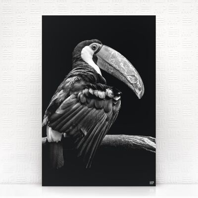 HIP ORGNL® Tucan - 100 x 150 cm