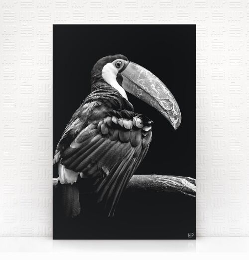 HIP ORGNL® Tucan - 80 x 120 cm