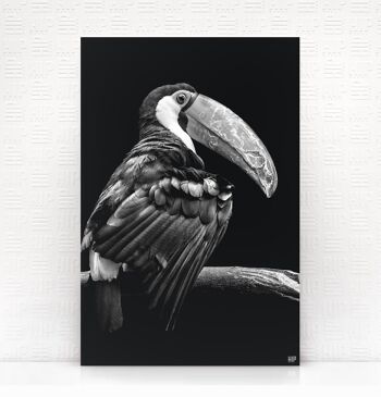 HIP ORGNL® Tucan - 80 x 120 cm 1