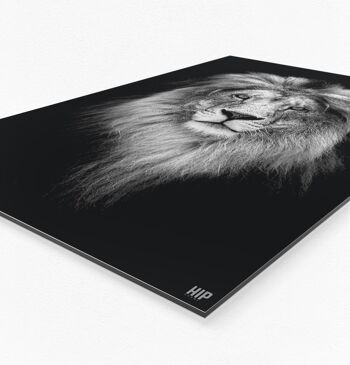 HIP ORGNL® Lion - 100 x 150 cm 4