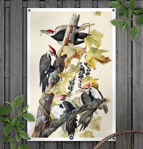 HIP ORGNL® Woodpeckers on Tree Garden - 100 x 150 cm