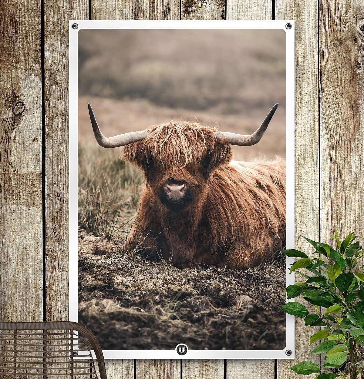 HIP ORGNL® Highlander in Field Garden - 60 x 90 cm