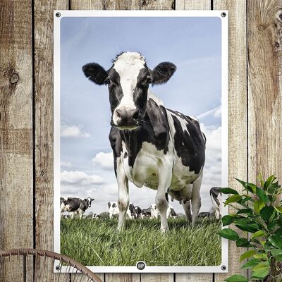 HIP ORGNL® Giardino delle mucche olandesi - 100 x 150 cm