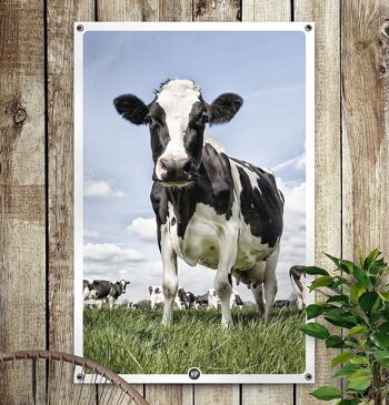 HIP ORGNL® Néerlandais Vache Jardin - 60 x 90 cm 1