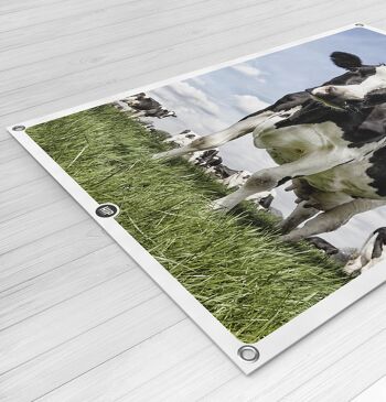 HIP ORGNL® Néerlandais Vache Jardin - 60 x 90 cm 2