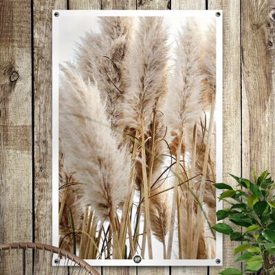 HIP ORGNL® Giardino di pennacchi d'erba della pampa - 100 x 150 cm
