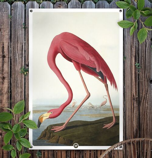 HIP ORGNL® American Flamingo Garden - 100 x 150 cm