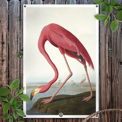 HIP ORGNL® Amerikanischer Flamingogarten - 100 x 150 cm