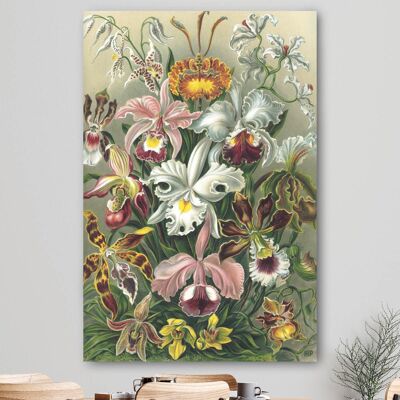 Orquídea HIP ORGNL® - 60 x 90 cm