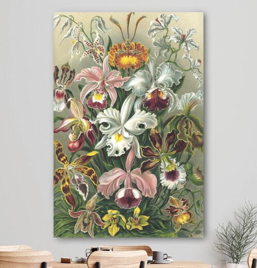HIP ORGNL® Orchidee - 40 x 60 cm