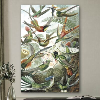 HIP ORGNL® Kolibries - 60 x 90 cm