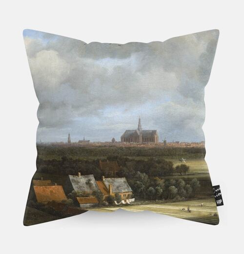 HIP ORGNL® Gezicht op Haarlem met bleekvelden Cushion - 45 x 45 cm