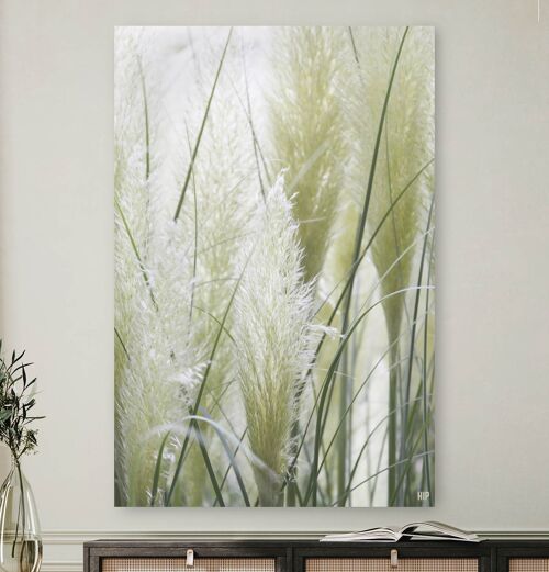 HIP ORGNL® White Pampas Grass - 60 x 90 cm