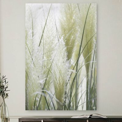 Hierba de pampa blanca HIP ORGNL® - 40 x 60 cm