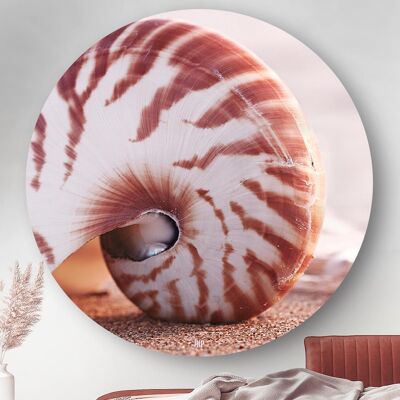 HIP ORGNL® Seashell Round - Ø 140 cm