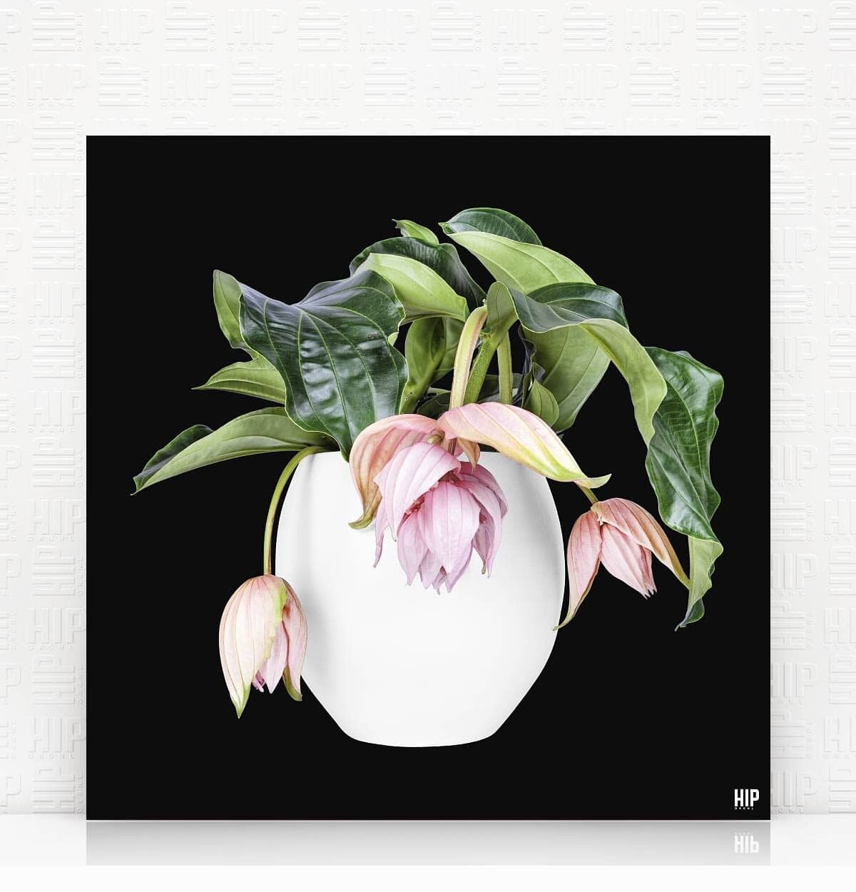 HIP ORGNL® Magnifica - 40 x 40 cm, Nero