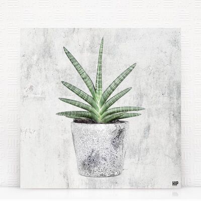 HIP ORGNL® Lengua - 80 x 80 cm, Piedra