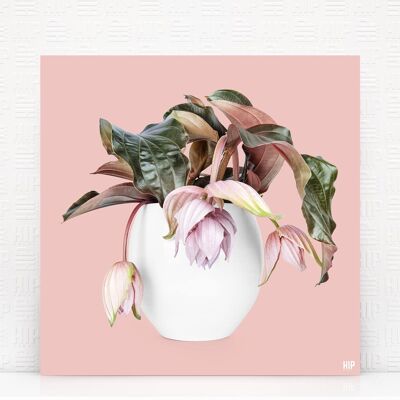 HIP ORGNL® Magnifica - 100 x 100 cm, rosa claro