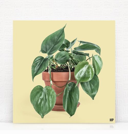 HIP ORGNL® Scandy - 80 x 80 cm, Zachtgeel