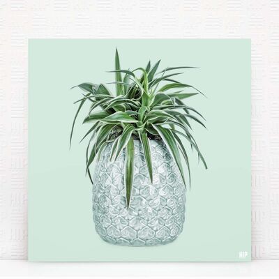 HIP ORGNL® Ocean - 80 x 80 cm, Menthe