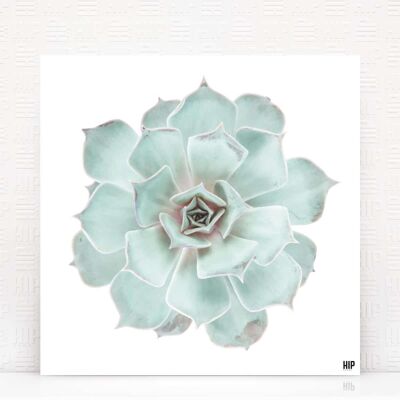 HIP ORGNL® Diamond - 100 x 100 cm, Mint