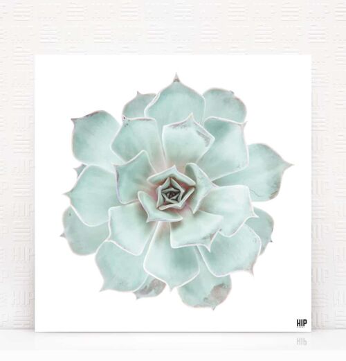 HIP ORGNL® Diamond - 80 x 80 cm, Mint