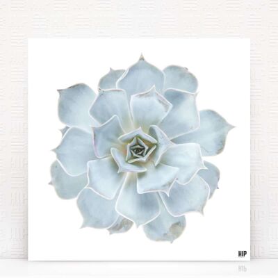HIP ORGNL® Diamante - 100 x 100 cm, Soft Blue