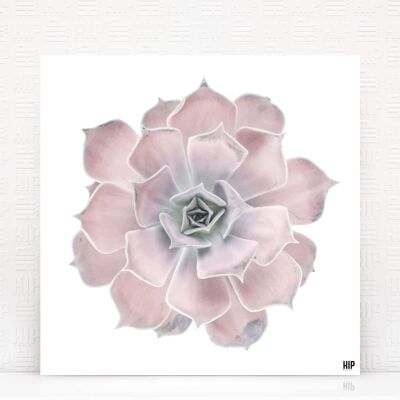 HIP ORGNL® Diamante - 100 x 100 cm, rosa