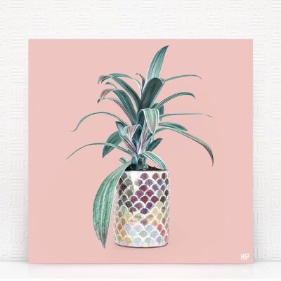 HIP ORGNL® Casablanca - 100 x 100 cm, rosa suave