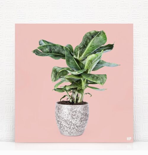 HIP ORGNL® Banana - 80 x 80 cm, Zachtroze