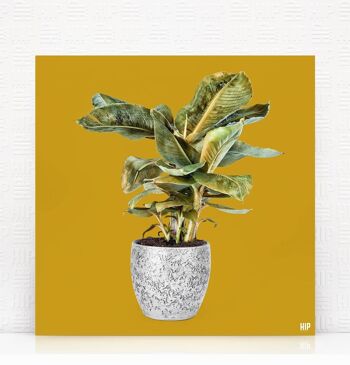 HIP ORGNL® Banane - 80 x 80 cm, Pierre 3