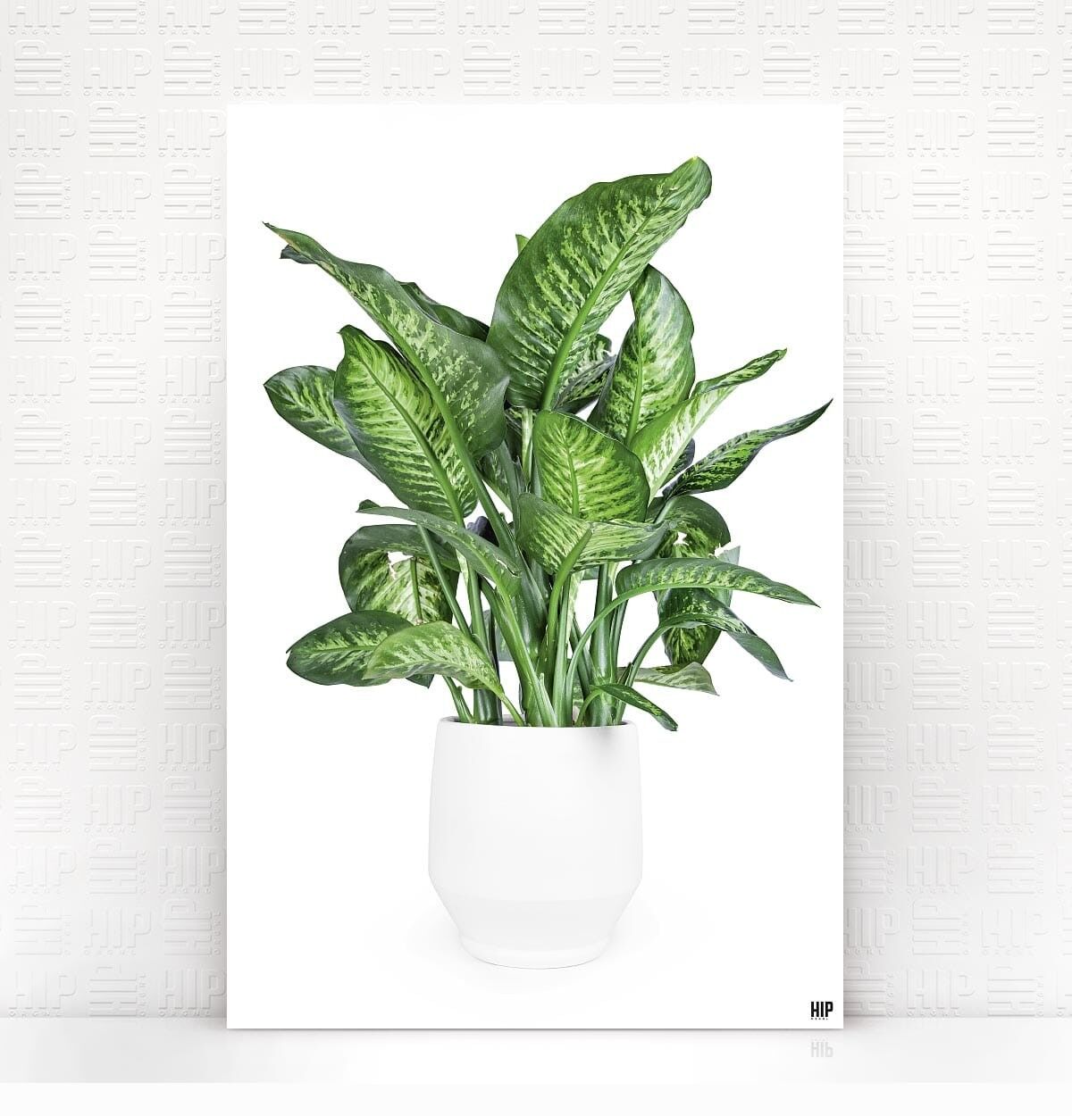 HIP ORGNL® Royal - 80 x 120 cm, bianco