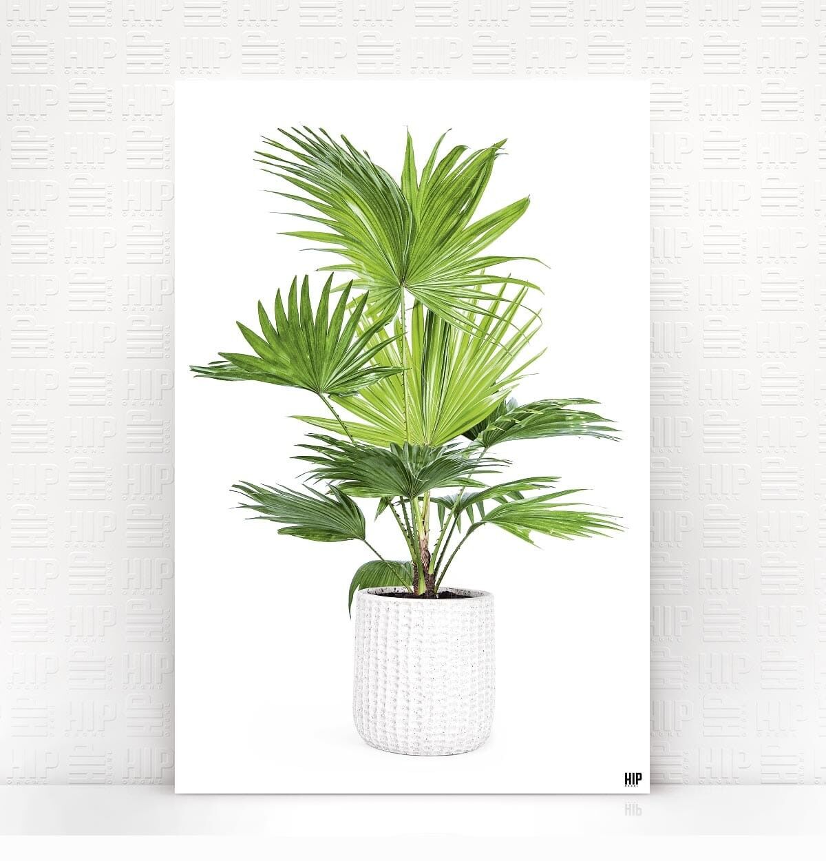 HIP ORGNL® Tramonto - 100 x 150 cm, bianco