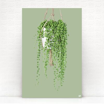 Cuerda de perlas HIP ORGNL® - 80 x 120 cm, verde oliva